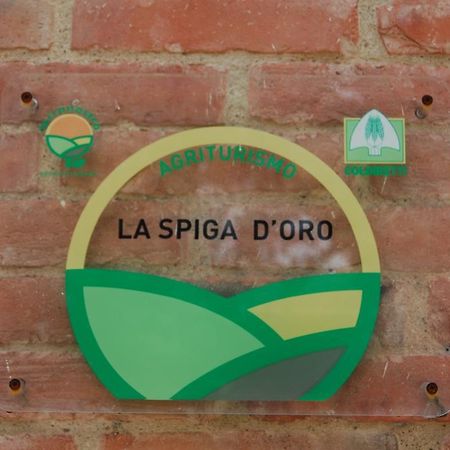 Гостевой дом La Spiga D'Oro Pozzo  Экстерьер фото